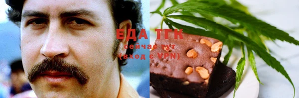 мет Алексин