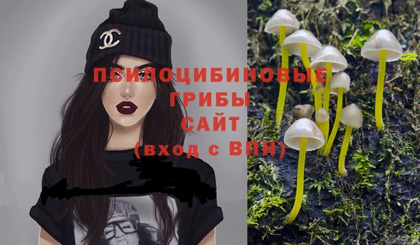 прущие крисы Новокубанск